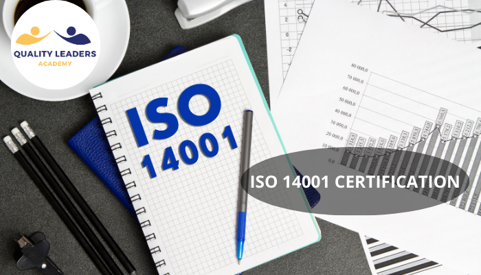 ISO 14001 CERTIFICATION IN HEALTHCARE: ENVIRONMENTAL MANAGEMENT FOR SUSTAINABLE HEALTH SYSTEMS